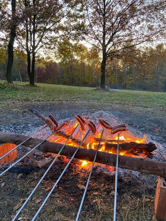 Szmaragdowy Domek Nowy Wisnicz Dış mekan fotoğraf